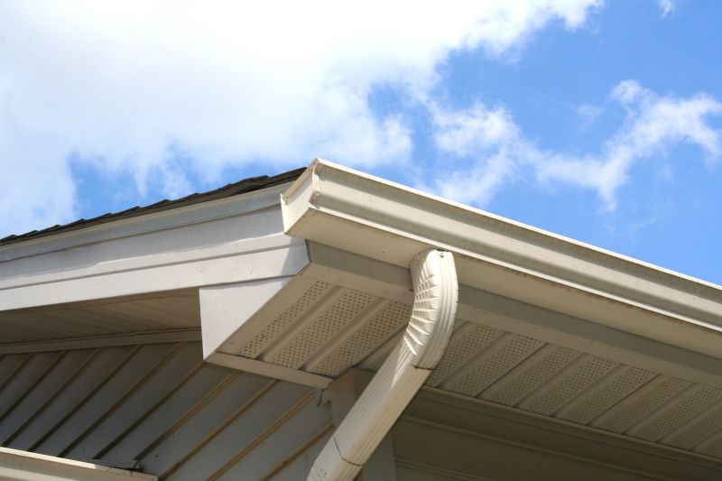 Clean Gutter System